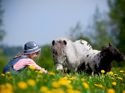 Tierpark Westküstenpark Schleswig-Holstein