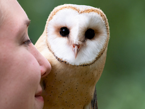 Tierpark Westküstenpark Schleswig-Holstein