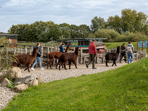 Tierpark Westküstenpark Schleswig-Holstein