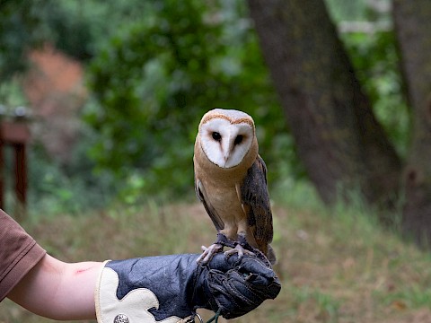 Tierpark Westküstenpark Schleswig-Holstein