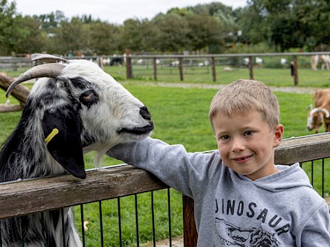 Tierpark Westküstenpark Schleswig-Holstein
