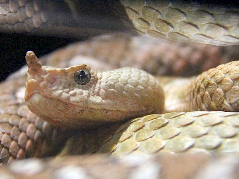 Tierpark Westküstenpark Schleswig-Holstein