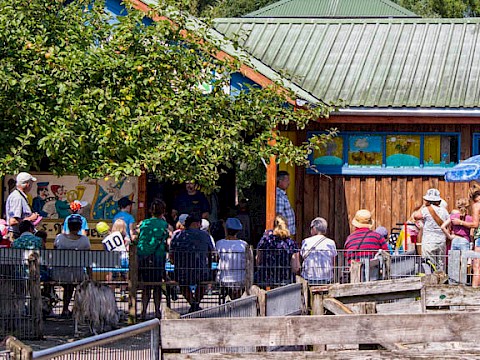 Tierpark Westküstenpark am 08.08.2016: Unser Seehundgeburtstag war einfach wundervoll! Hier einige Fotos! :-)