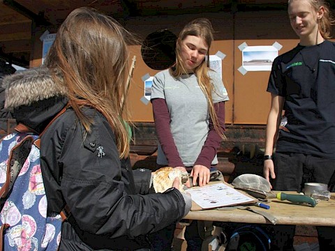 Tierpark Westküstenpark am 14.04.2017: Besuch unserer deutsch-dänischen Kooperationspartner!