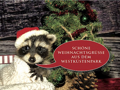 Tierpark Westküstenpark am 23.12.2017: Ein besinnliches Weihnachtsfest!