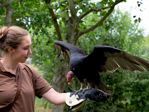 Tierpark Westküstenpark Schleswig-Holstein