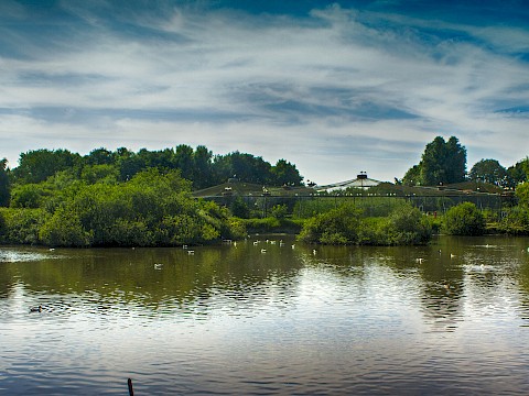 Tierpark Westküstenpark Schleswig-Holstein