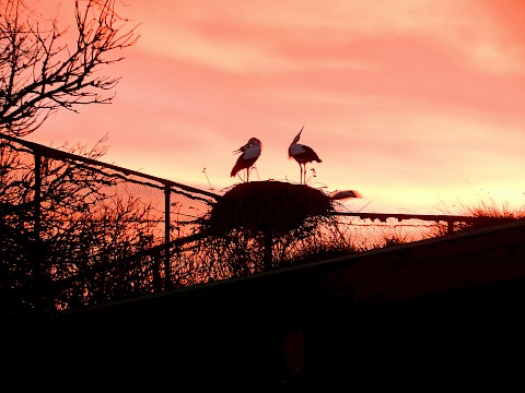 Tierpark Westküstenpark am 27.11.2019: Wir haben Betriebsferien!