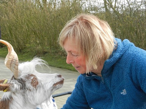Tierpark Westküstenpark am 22.03.2020: Noch sind alle Mitarbeiter gesund und im Einsatz!