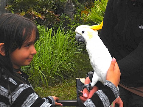 Tierpark Westküstenpark am 06.04.2020: Der Westküstenpark braucht weiterhin Ihre Unterstützung!