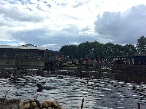 Tierpark Westküstenpark am 06.09.2020: Einige Fotos von unserem Event „Tierische Freunde”.