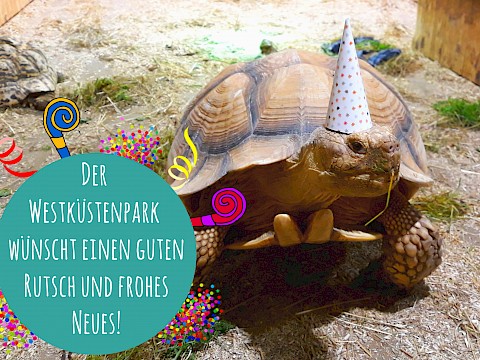 Tierpark Westküstenpark am 31.12.2020: Der Westküstenpark wünscht allen Freunden einen guten Rutsch ins neue Jahr!