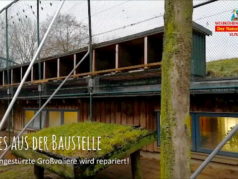 Tierpark Westküstenpark am 18.02.2021: Weitere Fortschritte beim Aufbau unserer Großvoliere! :-)