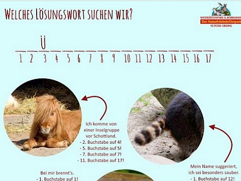 Tierpark Westküstenpark am 23.02.2021: Heute Jahreskartenverlosung auf Facebook!