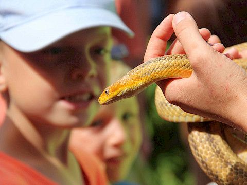 Tierpark Westküstenpark Schleswig-Holstein