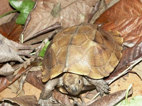 Tierpark Westküstenpark Schleswig-Holstein