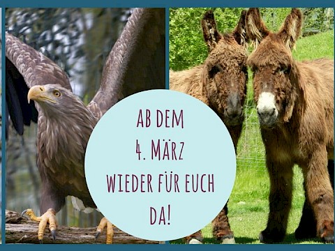 Tierpark Westküstenpark am 01.03.2022: Ab Freitag, den 04.03.2022, haben wir wieder täglich für euch geöffnet!