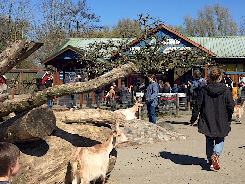 Tierpark Westküstenpark am 17.04.2022: Frohe Ostern aus dem Westküstenpark!