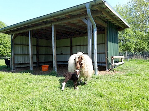 Tierpark Westküstenpark Schleswig-Holstein