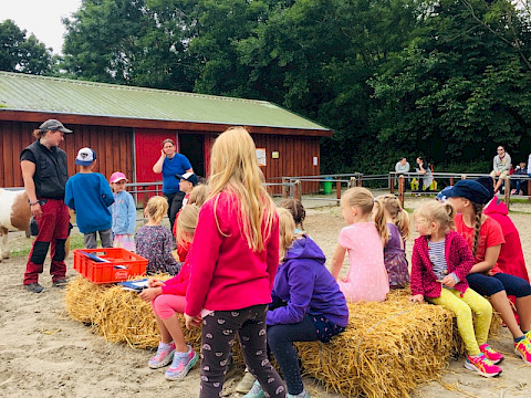 Tierpark Westküstenpark am 17.07.2022: Heute ist unser Sommerfest! Wer Zeit hat, sollte noch kommen....