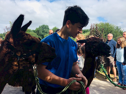 Tierpark Westküstenpark am 29.08.2022: Unser Alpakatag 2022!