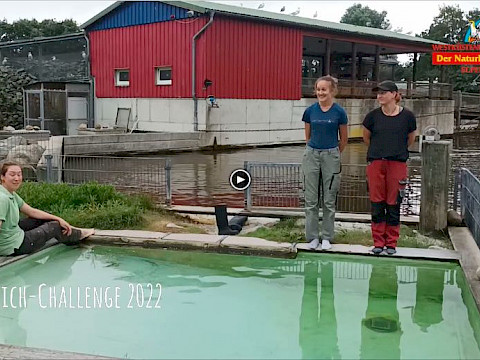 Tierpark Westküstenpark am 31.08.2022: Auch wir machen bei der Teichchallenge mit! :-)))
