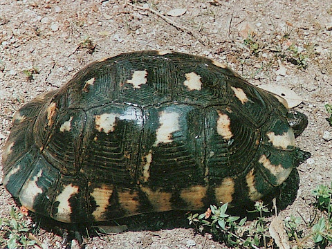 Tierpark Westküstenpark Schleswig-Holstein