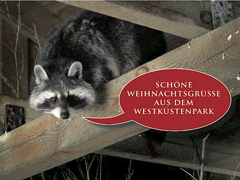 Tierpark Westküstenpark am 02.12.2022: Macht mit beim lebendigen & digitalen Adventskalender SPO!