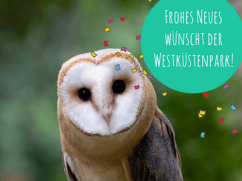 Tierpark Westküstenpark am 30.12.2022: Der Westküstenpark wünscht allen Freunden einen guten Rutsch ins neue Jahr!