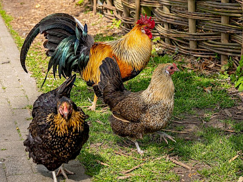 Tierpark Westküstenpark am 05.03.2023: Gewinner unseres Facebook-Gewinnspiels zum Saisonstart!