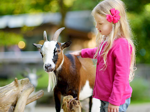Tierpark Westküstenpark am 01.09.2023: Am 03. September feiern wir unser Event „tierische Freunde”