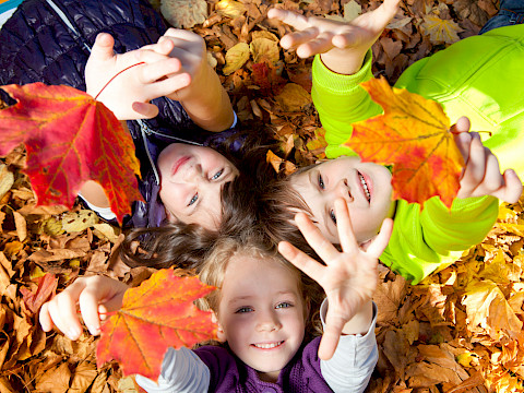 Tierpark Westküstenpark am 26.09.2023: Am 01. Oktober feiern wir unser Herbstfest!