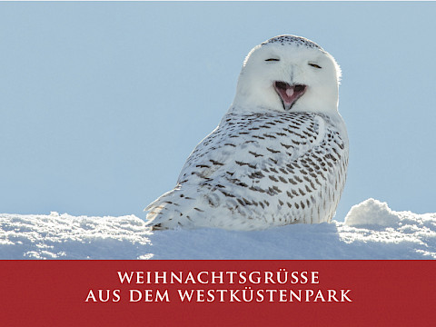 Tierpark Westküstenpark am 06.12.2023: Lebendiger Adventskalender SPO am 11. Dezember 2023!