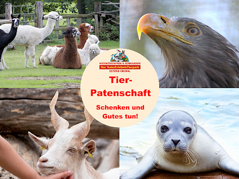 Tierpark Westküstenpark am 17.12.2023: An alle Tierliebhaber, die noch Geschenke suchen!