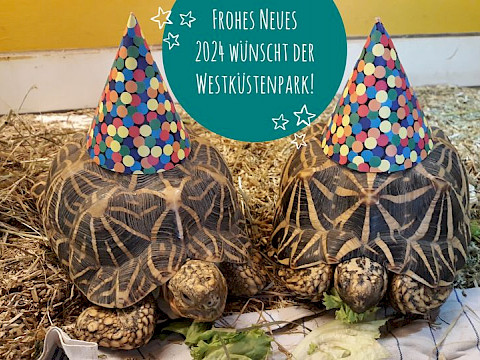 Tierpark Westküstenpark am 31.12.2023: Wir wünschen allen WKP-Fans einen guten Rutsch ins Neue Jahr!