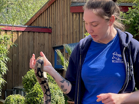 Tierpark Westküstenpark am 12.05.2024: Supersonniges Sommerblütenfest