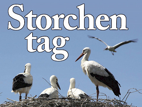 Tierpark Westküstenpark am 24.05.2024: Am 02. Juni ist unser Event „Tag der Störche”
