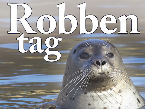 Tierpark Westküstenpark am 22.07.2024: Am 28.07.24 findet unser Event „Robbentag” statt!