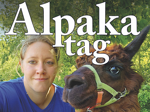 Tierpark Westküstenpark am 02.08.2024: Alpakatag im WKP am 11. August