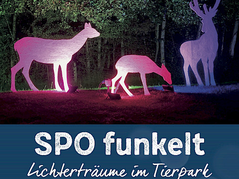 Tierpark Westküstenpark am 02.08.2024: 12. August · SPO funkelt Lichterträume im Tierpark