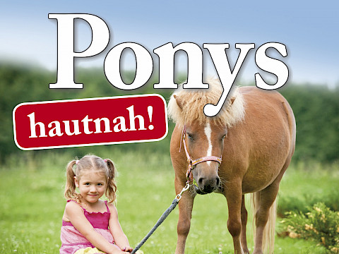 Tierpark Westküstenpark am 26.08.2024: 01.09.2024 | Unser Event „Ponys hautnah”
