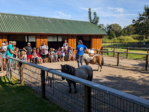 Tierpark Westküstenpark am 01.09.2024: Unser Ponytag 2024
