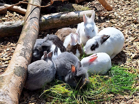 Tierpark Westküstenpark Schleswig-Holstein