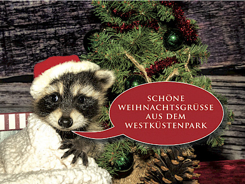 Tierpark Westküstenpark am 11.12.2024: Last-minute-Geschenke & Wunschliste für unsere Tiere!
