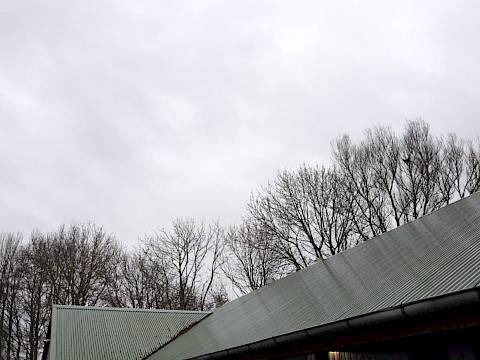 Tierpark Westküstenpark am 01.01.2025: Am 01. Januar 2025 leider wegen Unwetter geschlossen!