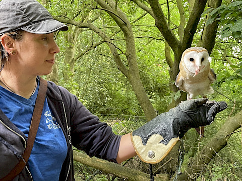 Tierpark Westküstenpark am 13.07.2025: Tierpflegertag im Westküstenpark – mega!