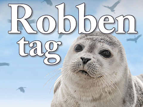 Tierpark Westküstenpark am 26.07.2025: 03. August | Robbentag mit unseren 2 kleinen Robbenwelpen