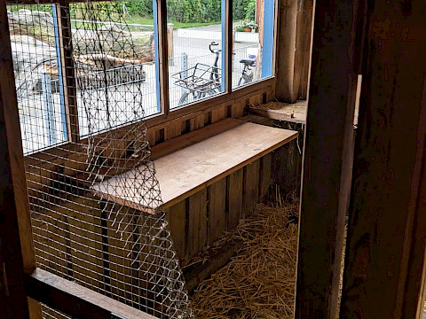 Tierpark Westküstenpark am 08.08.2025: 08.08.2025 | Erneuter Anschlag auf den Westküstenpark  – versuchter Waschbär-Diebstahl in der Nacht zum 7. August 2025