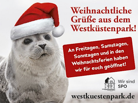 Tierpark Westküstenpark am 30.11.2025: Im Winter für euch da!